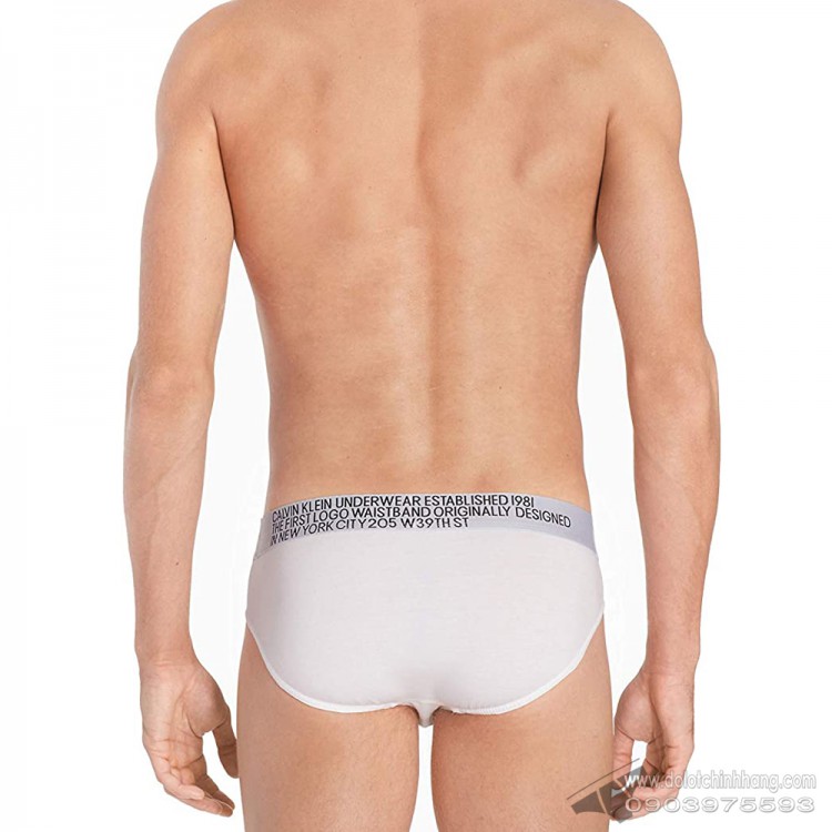 calvin klein statement 1981 hip brief