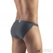 Quần lót nam Ergowear EW1136 SLK Bikini Dark Gray