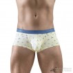 Quần lót nam Ergowear EW1770 SLK SE Trunk Vanilla-Birds
