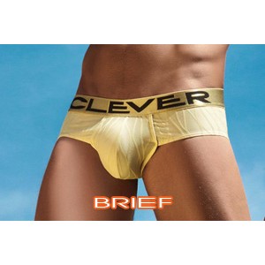 Brief